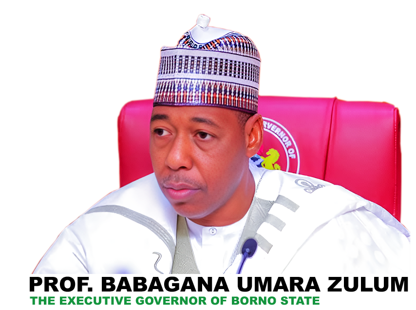 governor zulum